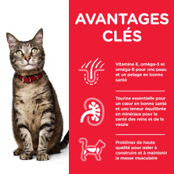 Chat Multipack 3s 12x85g de Hill's - croquette pour chien et chat dans Patees pour chats