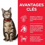 Chat Multipack 3s 12x85g de Hill's - croquette pour chien et chat dans Patees pour chats