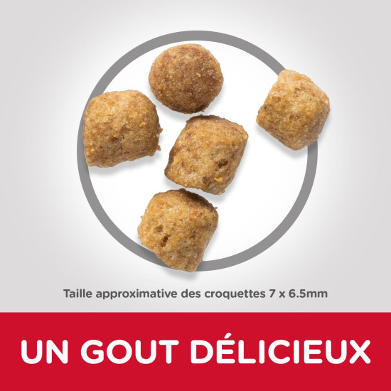 Chat Mature Adult 7+ sterilise 300g de Hill's - croquette pour chien et chat dans Croquettes pour chats