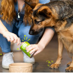 Boite patée pour chien Agneau 400G Edgar&Cooper de Edgard Cooper - croquette pour chiens dans Pâtée pour chien