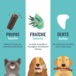 Mach'Sticks Eucalyptus 160G Edgard&Cooper de Edgard Cooper - croquette pour chiens dans Friandises pour chiens