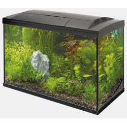 START 150 TROPICAL KIT NOIR de Superfish - Aquadistri - accessoires pour aquarium et bassin dans Aquariums 60 à 150 litres