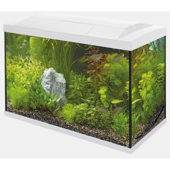 START 150 TROPICAL KIT BLANC de Superfish - Aquadistri - accessoires pour aquarium et bassin dans Aquariums 60 à 150 litres