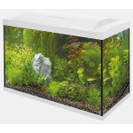 START 150 TROPICAL KIT BLANC de Superfish - Aquadistri - accessoires pour aquarium et bassin dans Aquariums 60 à 150 litres