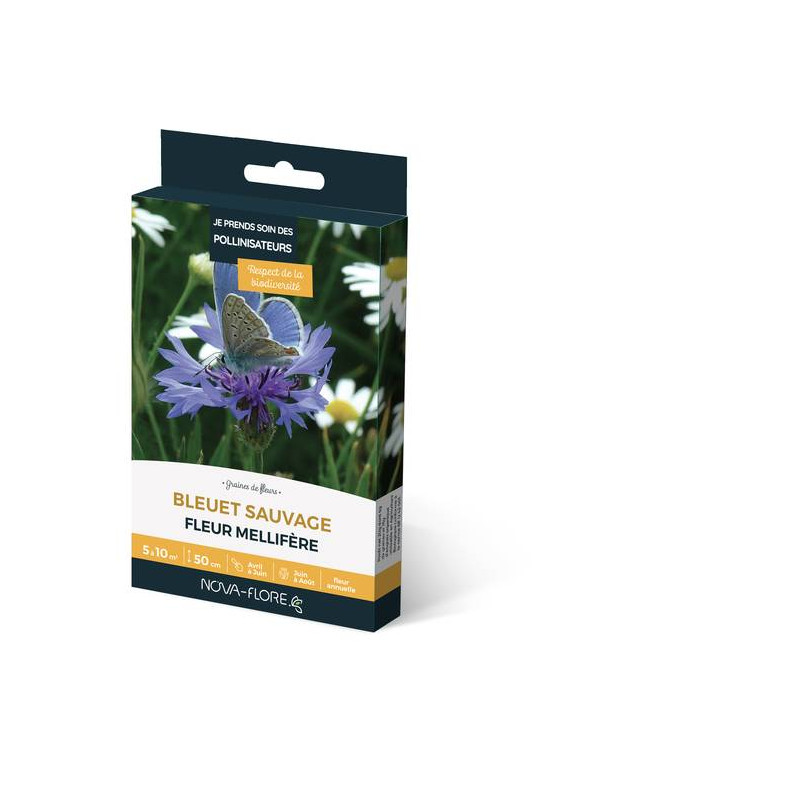 BLEUET SAUVAGE 3M2 de Novaflore - fleurs melliferes pour papillons et abeilles dans Graines de fleurs en B