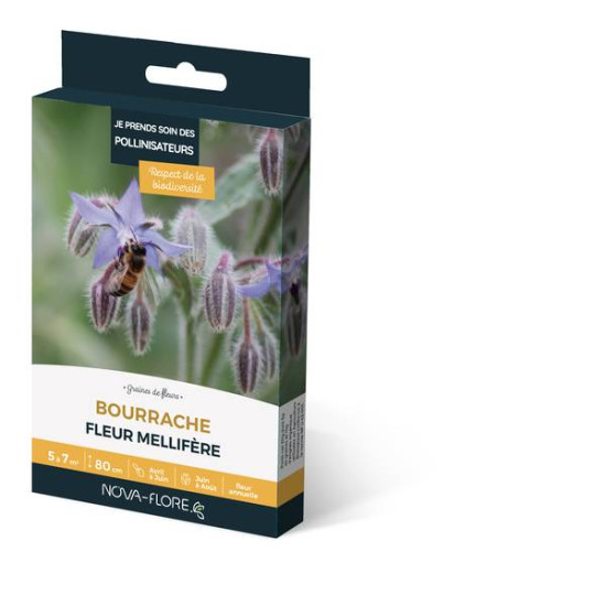 BOURRACHE 3M2 de Novaflore - fleurs melliferes pour papillons et abeilles dans Graines de fleurs en B