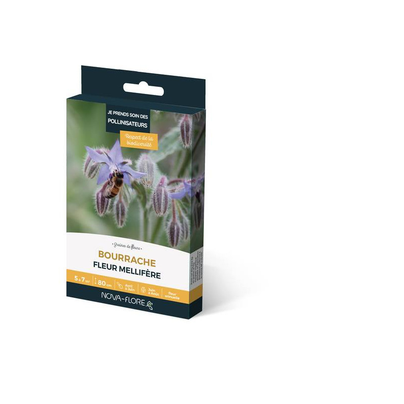 BOURRACHE 3M2 de Novaflore - fleurs melliferes pour papillons et abeilles dans Graines de fleurs en B