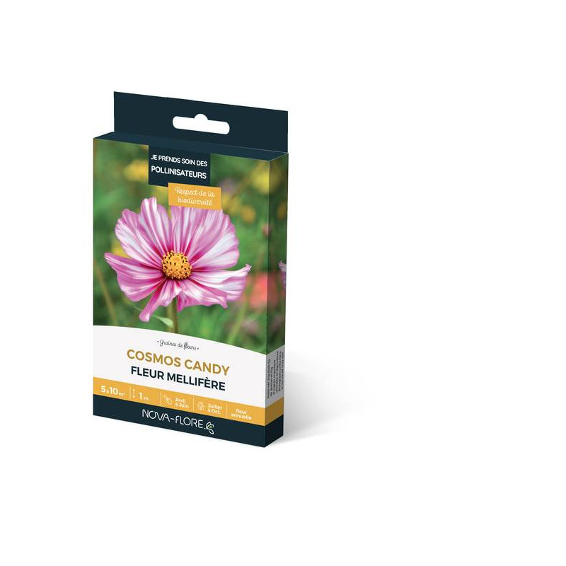 COSMOS CANDY 3M2 de Novaflore - fleurs melliferes pour papillons et abeilles dans Graines de fleurs en C