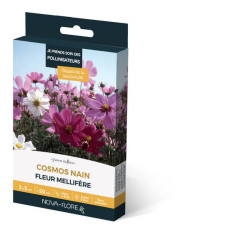 COSMOS NAIN 3M2 de Novaflore - fleurs melliferes pour papillons et abeilles dans Graines de fleurs en C