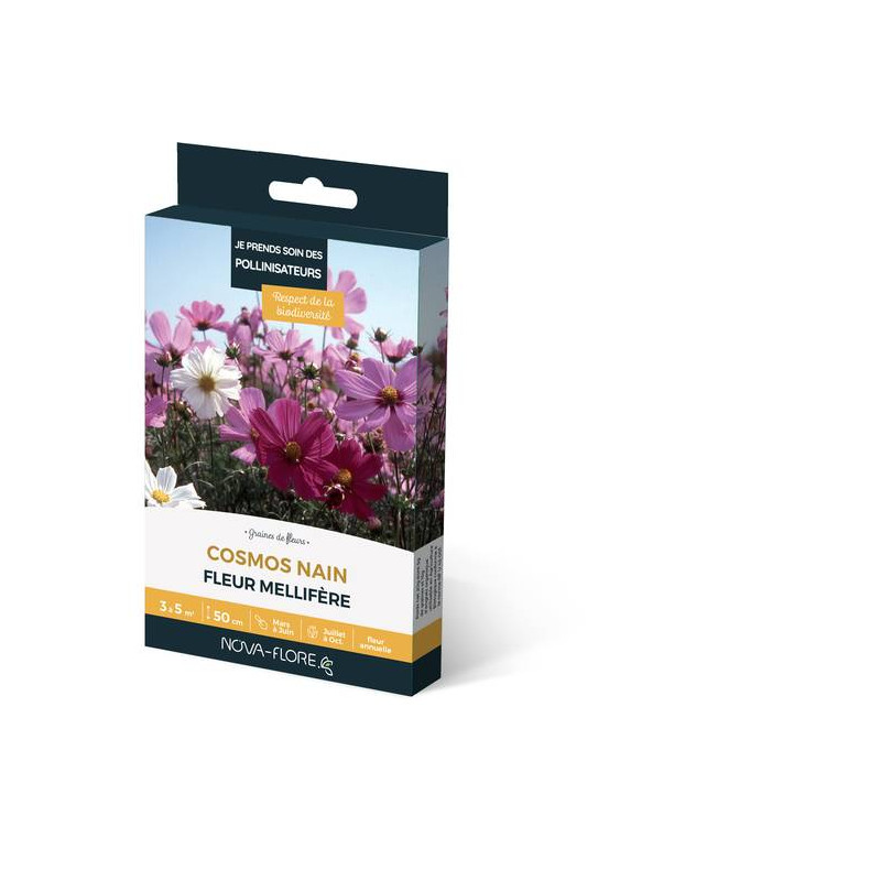 COSMOS NAIN 3M2 de Novaflore - fleurs melliferes pour papillons et abeilles dans Graines de fleurs en C