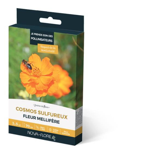 COSMOS SULFUREUX 3M2 de Novaflore - fleurs melliferes pour papillons et abeilles dans Graines de fleurs en C