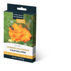 COSMOS SULFUREUX 3M2 de Novaflore - fleurs melliferes pour papillons et abeilles dans Graines de fleurs en C