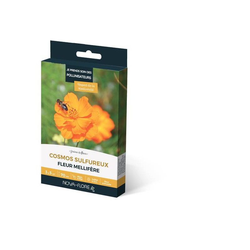 COSMOS SULFUREUX 3M2 de Novaflore - fleurs melliferes pour papillons et abeilles dans Graines de fleurs en C