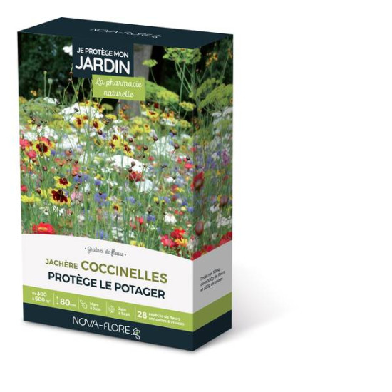 JACHERE COCCINELLES 300 à 600M2 de Novaflore - fleurs melliferes pour papillons et abeilles dans Graines de Jachere fleurie