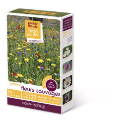 JACHERE FLEURS SAUVAGES 50 à 100M2 de Novaflore - fleurs melliferes pour papillons et abeilles dans Graines de Jachere fleurie