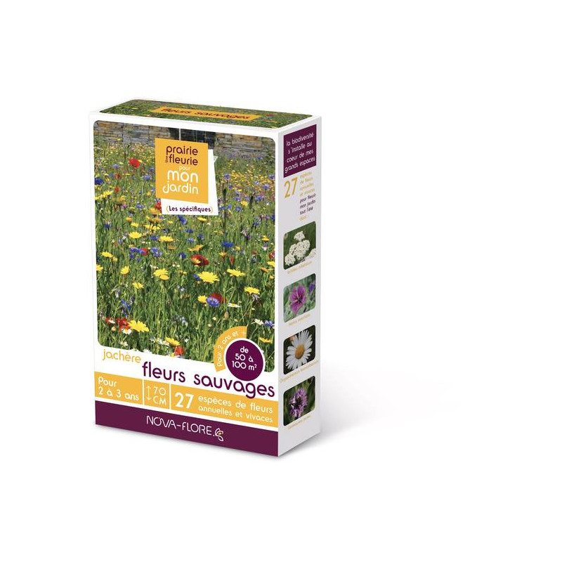 JACHERE FLEURS SAUVAGES 50 à 100M2 de Novaflore - fleurs melliferes pour papillons et abeilles dans Graines de Jachere fleurie