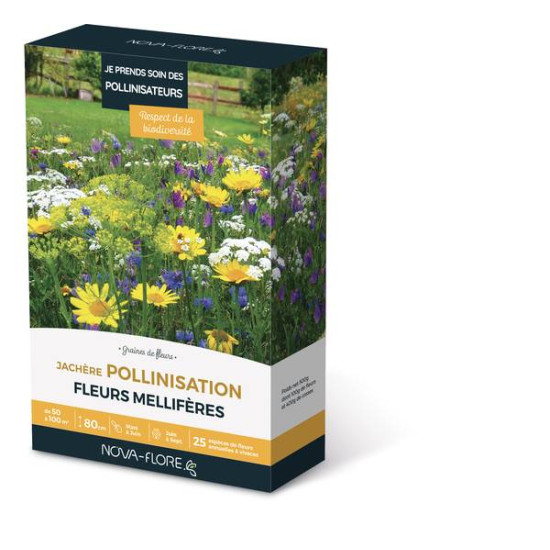 JACHERE POLLINISATION 50 à 100 M2 de Novaflore - fleurs melliferes pour papillons et abeilles dans Graines de Jachere fleurie