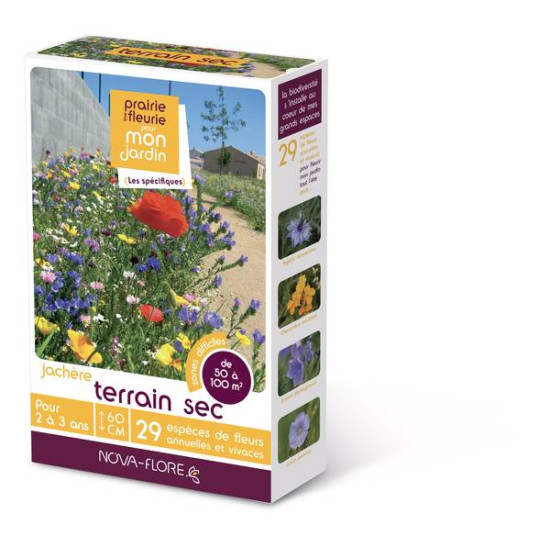 JACHERE TERRAIN SEC 50 à 100M2 de Novaflore - fleurs melliferes pour papillons et abeilles dans Graines de Jachere fleurie