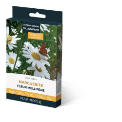 MARGUERITE 3M2 de Novaflore - fleurs melliferes pour papillons et abeilles dans Graines de fleurs en M
