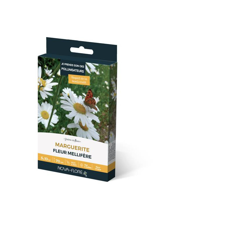 MARGUERITE 3M2 de Novaflore - fleurs melliferes pour papillons et abeilles dans Graines de fleurs en M