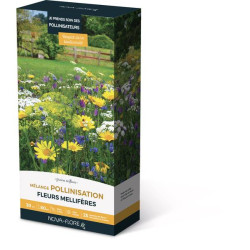 MELANGE POLLINISATION 30M2 de Novaflore - fleurs melliferes pour papillons et abeilles dans Graines de Fleurs pour les abeilles