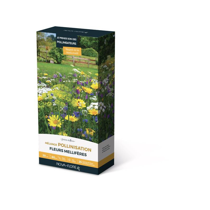 MELANGE POLLINISATION 30M2 de Novaflore - fleurs melliferes pour papillons et abeilles dans Graines de Fleurs pour les abeilles