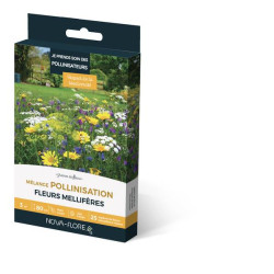 MÉLANGE POLLINISATION 3M2 de Novaflore - fleurs melliferes pour papillons et abeilles dans Graines de Fleurs pour les abeilles