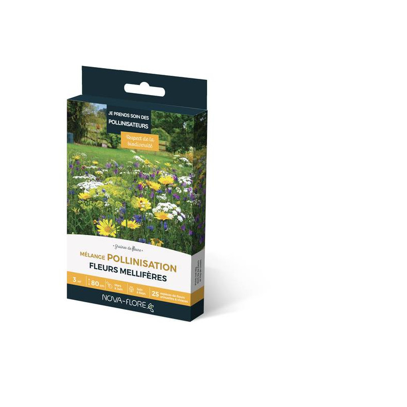MÉLANGE POLLINISATION 3M2 de Novaflore - fleurs melliferes pour papillons et abeilles dans Graines de Fleurs pour les abeilles