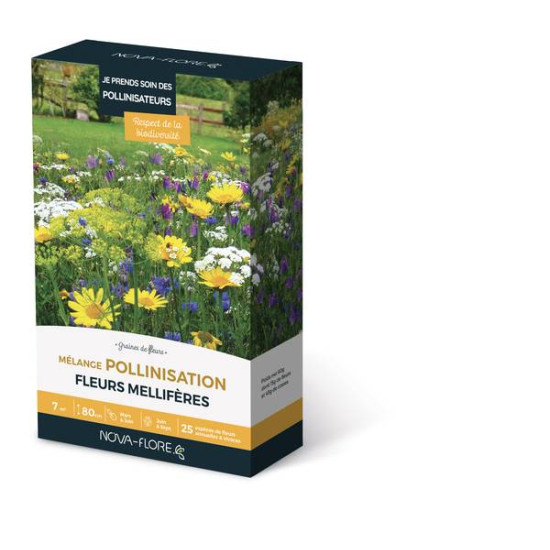 MÉLANGE POLLINISATION 7M2 de Novaflore - fleurs melliferes pour papillons et abeilles dans Graines de Fleurs pour les abeilles