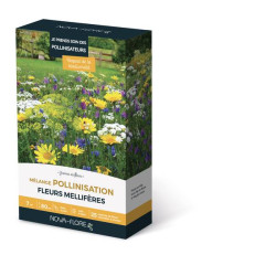 MÉLANGE POLLINISATION 7M2 de Novaflore - fleurs melliferes pour papillons et abeilles dans Graines de Fleurs pour les abeilles