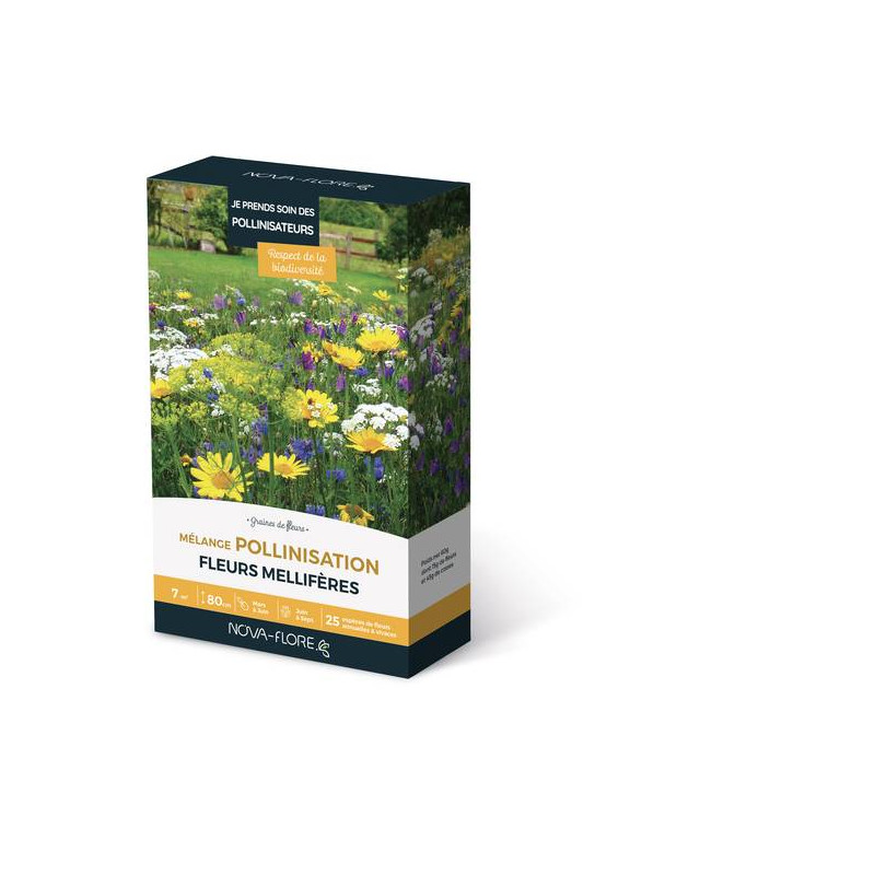 MÉLANGE POLLINISATION 7M2 de Novaflore - fleurs melliferes pour papillons et abeilles dans Graines de Fleurs pour les abeilles