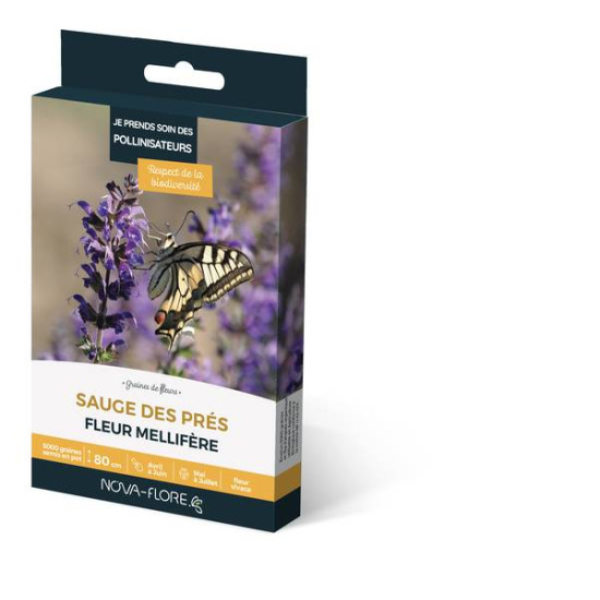 SAUGE DES PRES 3M2 de Novaflore - fleurs melliferes pour papillons et abeilles dans Graines de fleurs en S