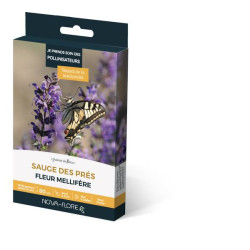SAUGE DES PRES 3M2 de Novaflore - fleurs melliferes pour papillons et abeilles dans Graines de fleurs en S