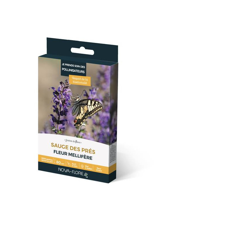 SAUGE DES PRES 3M2 de Novaflore - fleurs melliferes pour papillons et abeilles dans Graines de fleurs en S