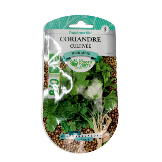Coriandre Bio -graines de Les Doigts Verts - graines de Gironde à Bordeaux dans Graines d'autres aromatiques