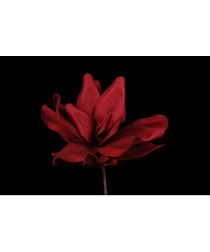 Tige de lotus rouge 90cm de Jardinerie Bordeaux Libourne Gironde dans Fleur et plante artificielle