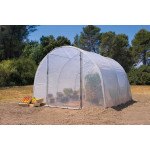 Serre 3x3m pied 1 porte-tube 32mm film 2*180µ de Richel - serres de jardin dans Serre souple