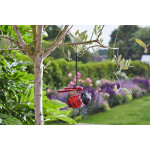 Lanterne Solaire Coccinelle lumineuse de Smart garden dans Eclairage Solaire de jardin