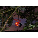 Lanterne Solaire Coccinelle lumineuse de Smart garden dans Eclairage Solaire de jardin