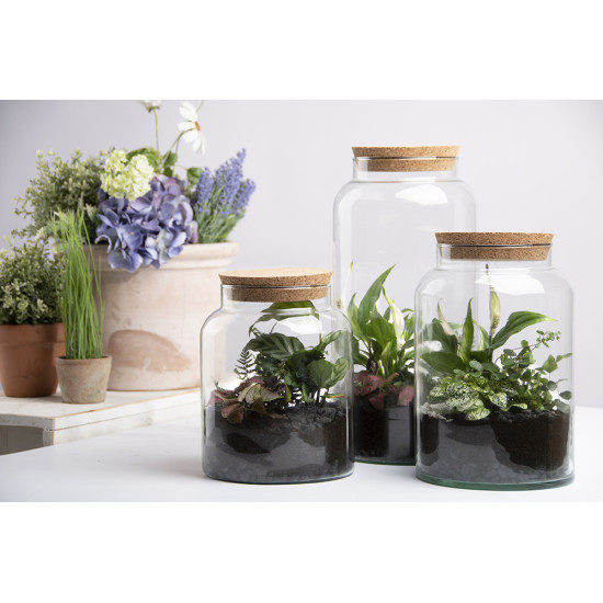 Bouteille terrarium semi ouverte S de Esschert design - deco maison et jardin dans Bouteille terrarium