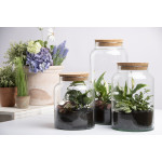 Bouteille terrarium semi ouverte S de Esschert design - deco maison et jardin dans Bouteille terrarium