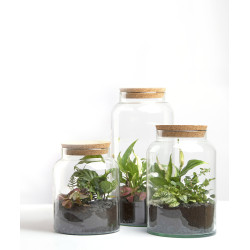 Bouteille terrarium semi ouverte S de Esschert design - deco maison et jardin dans Bouteille terrarium