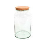 Bouteille terrarium semi ouvert M de Esschert design - deco maison et jardin dans Bouteille terrarium