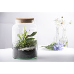 Bouteille terrarium semi ouvert M de Esschert design - deco maison et jardin dans Bouteille terrarium