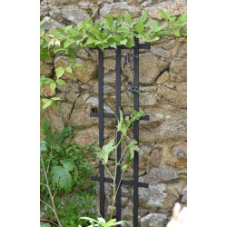 TUTEUR ECHELLE 0,30X1,20M ANTHRA de Jardinerie Bordeaux Libourne Gironde dans Tuteur pour plante