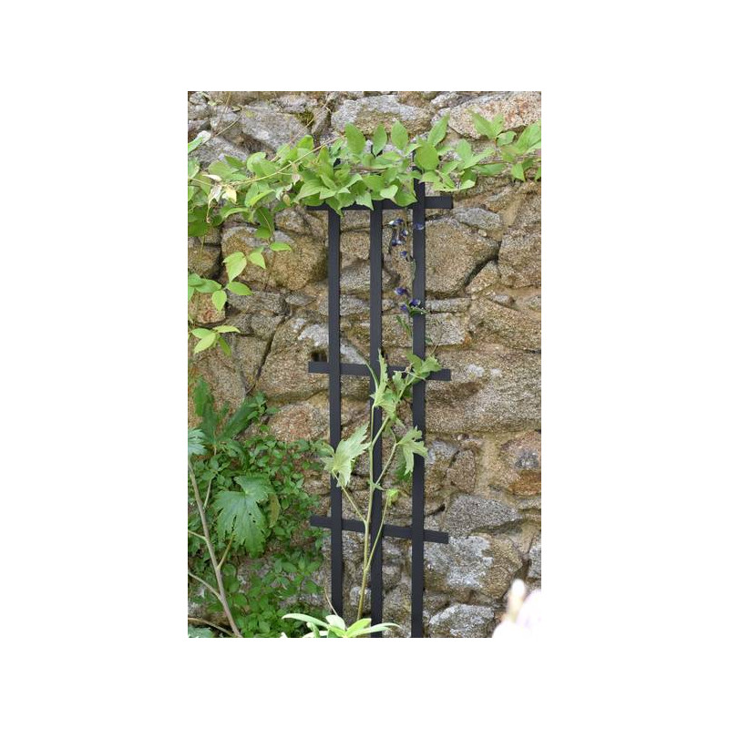 TUTEUR ECHELLE 0,30X1,20M ANTHRA de Jardinerie Bordeaux Libourne Gironde dans Tuteur pour plante