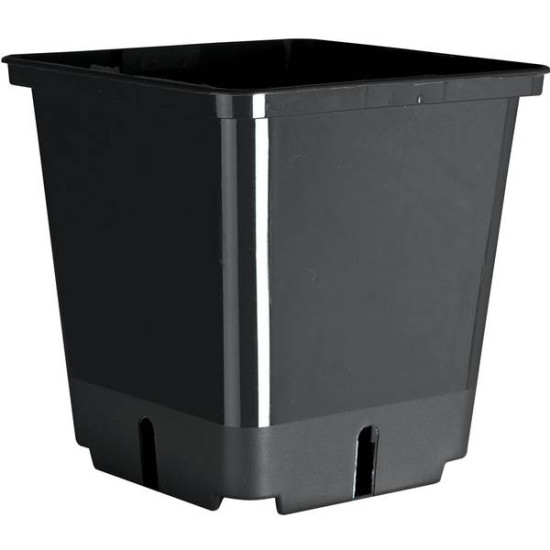 GODET DE GERMINATION 8X8XH9CM x20 de Jardinerie Bordeaux Libourne Gironde dans Pots en plastique
