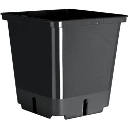 GODET DE GERMINATION 8X8XH9CM x20 de Jardinerie Bordeaux Libourne Gironde dans Pots en plastique