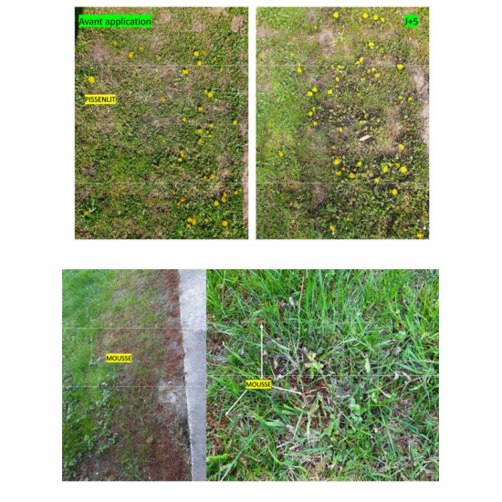PROP'GAZON CONTRE mauvaises herbes 1L de Clairland - Desherbant dans Désherbant pour le gazon