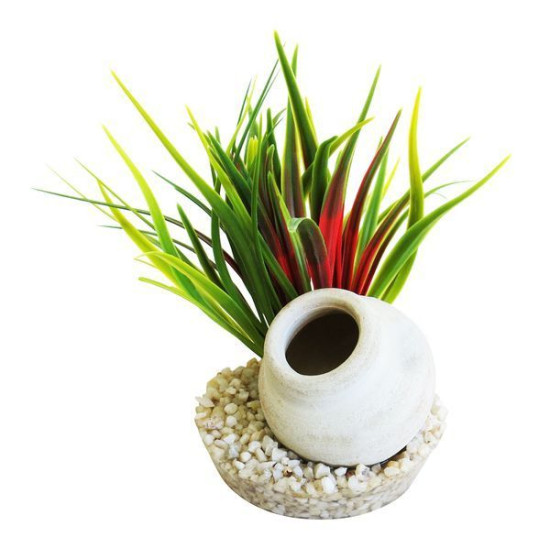 JARRE GAULOISE PLANTES POUR AQUARIUM de Sydeco - Plantes pour aquarium à bordeaux en Gironde dans Décoration d'aquarium